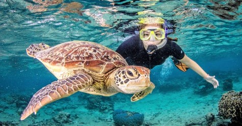 CAIRNS & TROPICAL NORTH QUEENSLAND